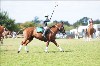 UKPA NC SAT_2446